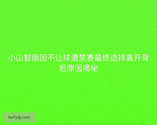 小山智丽因不让球遭禁赛最终选择离开背后原因揭秘