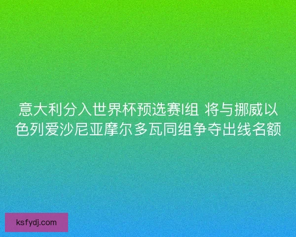 意大利分入世界杯预选赛I组 将与挪威以色列爱沙尼亚摩尔多瓦同组争夺出线名额