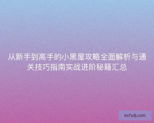 从新手到高手的小黑屋攻略全面解析与通关技巧指南实战进阶秘籍汇总